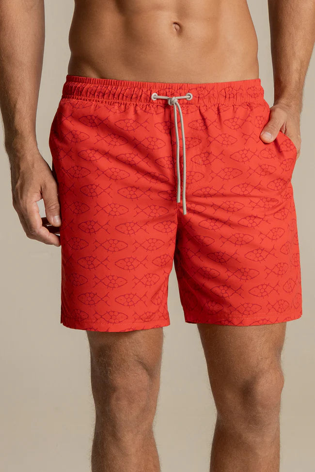 SHORT PENINSULA 31061