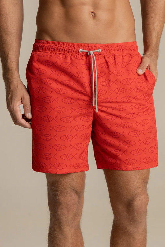 SHORT PENINSULA 31061