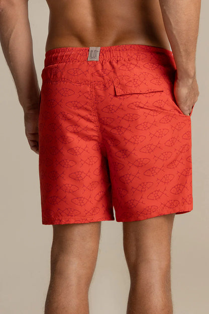 SHORT PENINSULA 31061