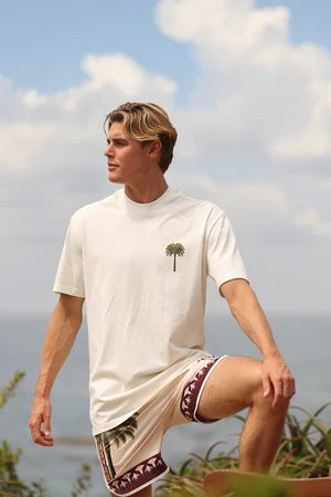 LEVI SOLASTA